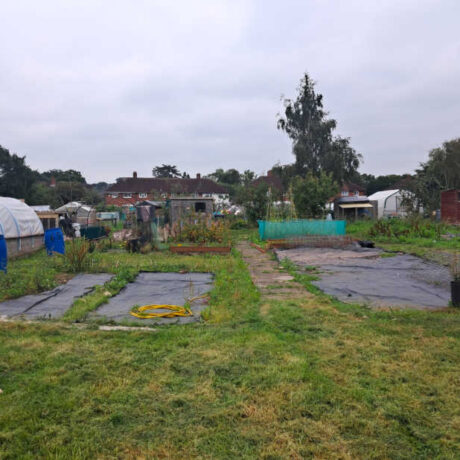 New project: Project Allotment – Coming soon!