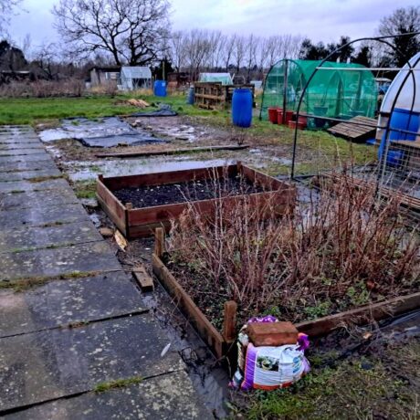 10 Essential Allotment Tasks To Complete In January